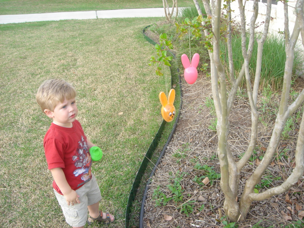 2007/04(April)/01(Easter)/1024x768_2007-03-24 20-15-03.JPG